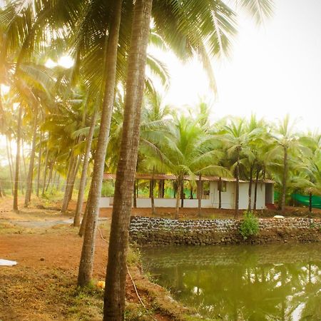 India Yoga Village Canacona Bagian luar foto