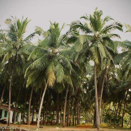 India Yoga Village Canacona Bagian luar foto