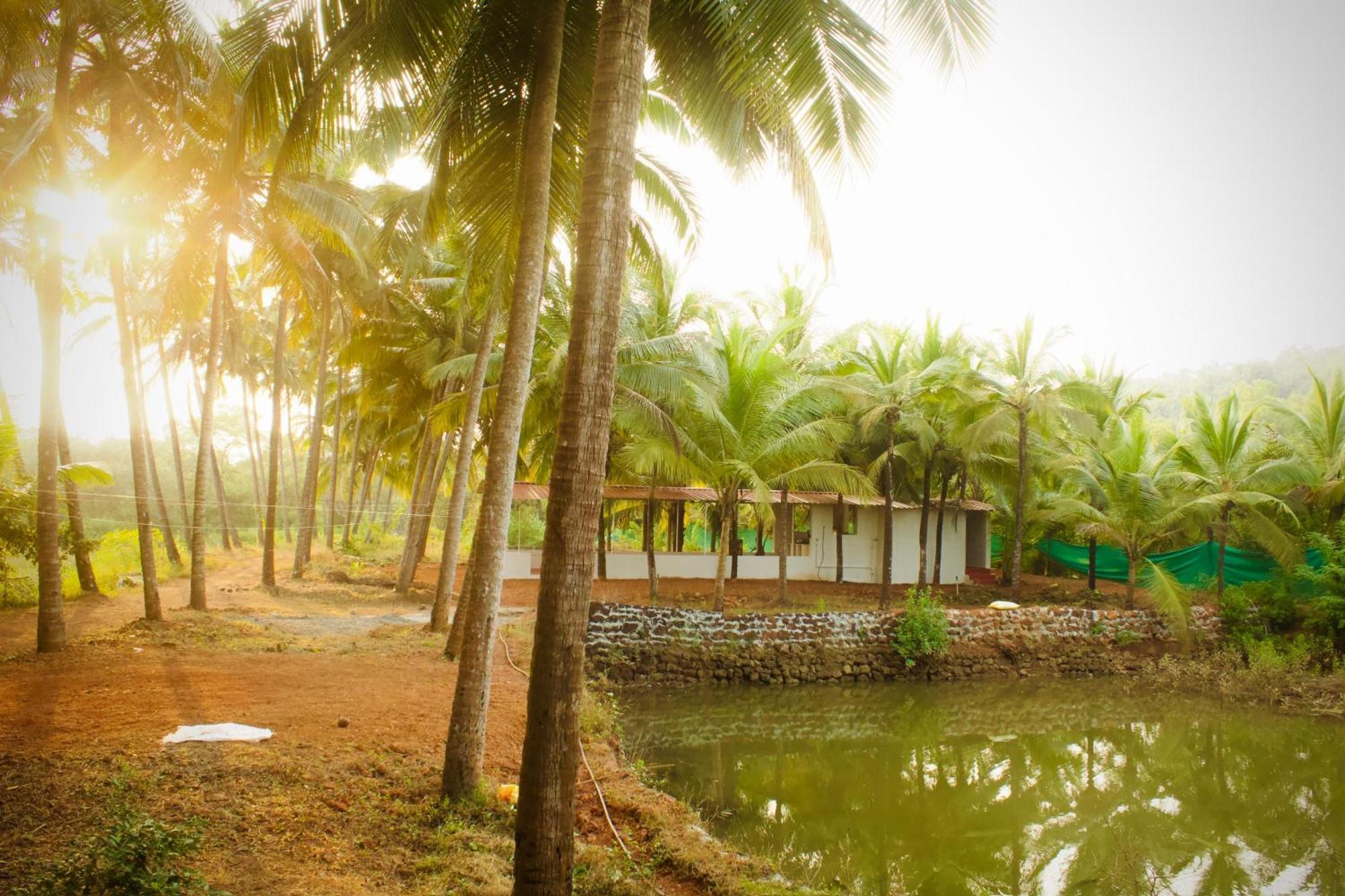 India Yoga Village Canacona Bagian luar foto