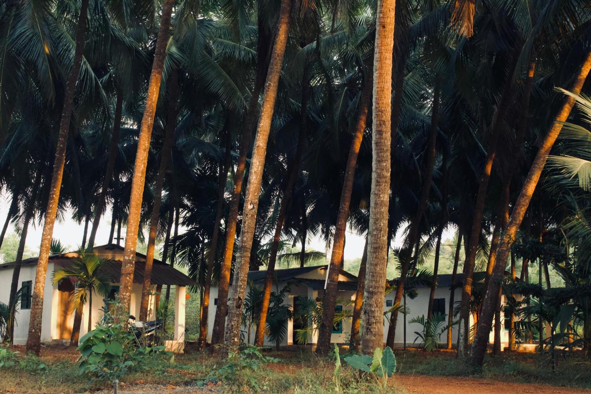 India Yoga Village Canacona Bagian luar foto